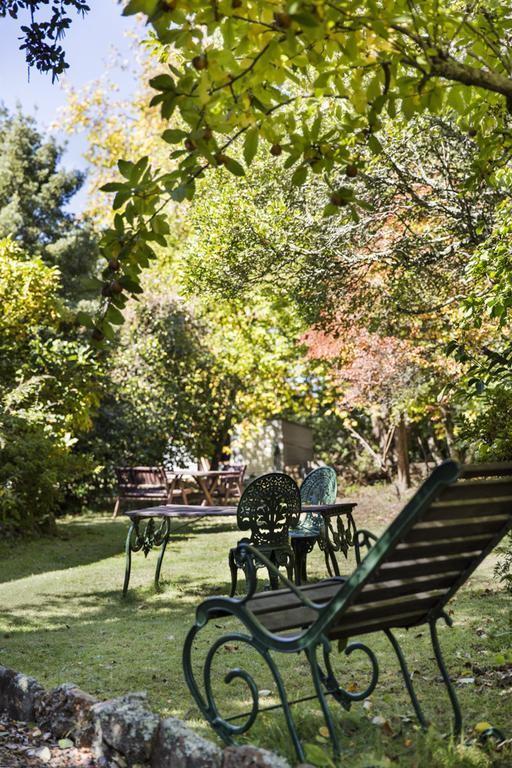 Bed and Breakfast Secrets Hideaway Blackheath Exteriér fotografie