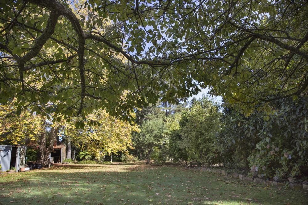 Bed and Breakfast Secrets Hideaway Blackheath Exteriér fotografie
